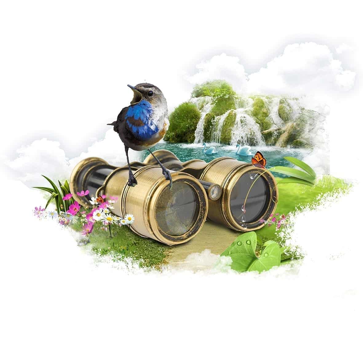 פוסטרים בנושא איכות הסביבה – פנורמה