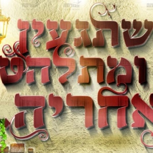 פוסטר ‘משתגעין ומתלהטין אחריה’ עם מובאות | אהבת תורה