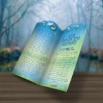 הדמיה 1-