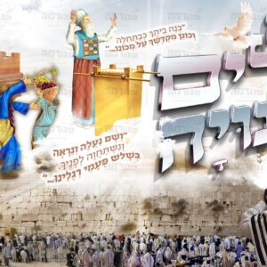 פוסטר ‘כלי המקדש’