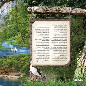 פוסטר ‘מזמור ברכי נפשי’