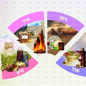 גלי פורמט צר