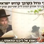‏‏דף רקע הרב שטיינמן DR9141C לתצוגה 2