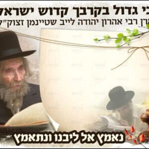 מארז תמונה + דף רקע צבעוני – הרב שטיינמן // כסלו