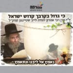‏‏דף רקע הרב שטיינמן DR9141C לתצוגה ריבועי (2)